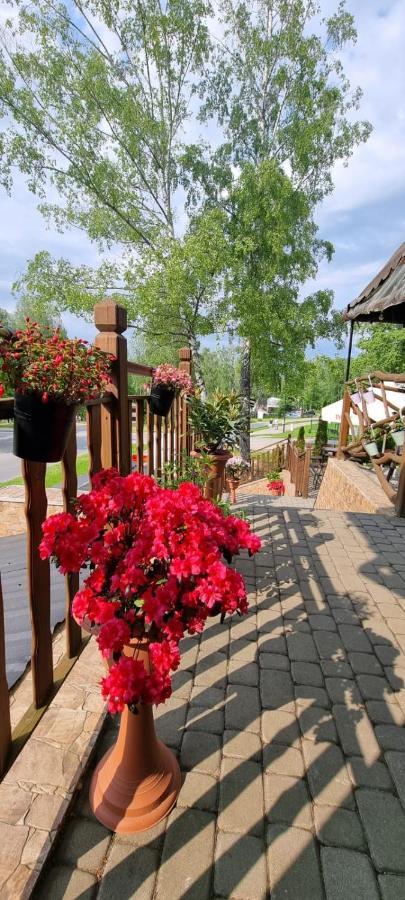 Apartamento Lesne Klimaty Polańczyk Exterior foto